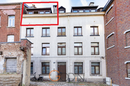 Appartement 1 chambre - A Saisir !!!